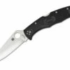 Spyderco Endura Lightweight