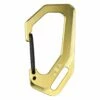 Trayvax Carabiner Brass